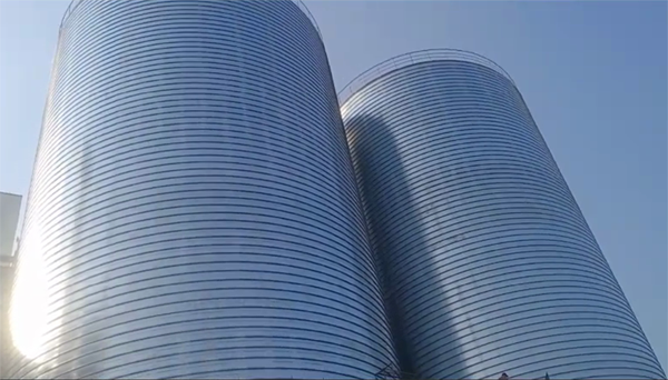 管城回族2座混凝土高架卷板仓